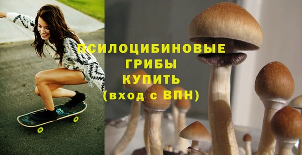 крисы Богородск