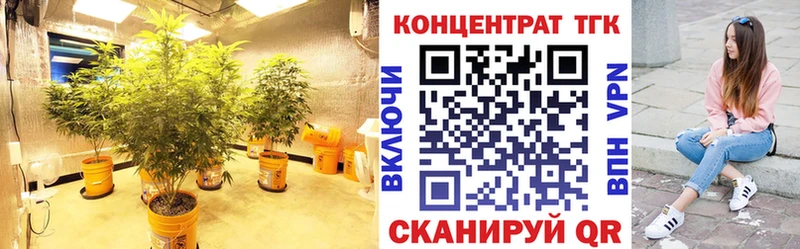 дарк нет Telegram  Верхоянск  ТГК жижа 